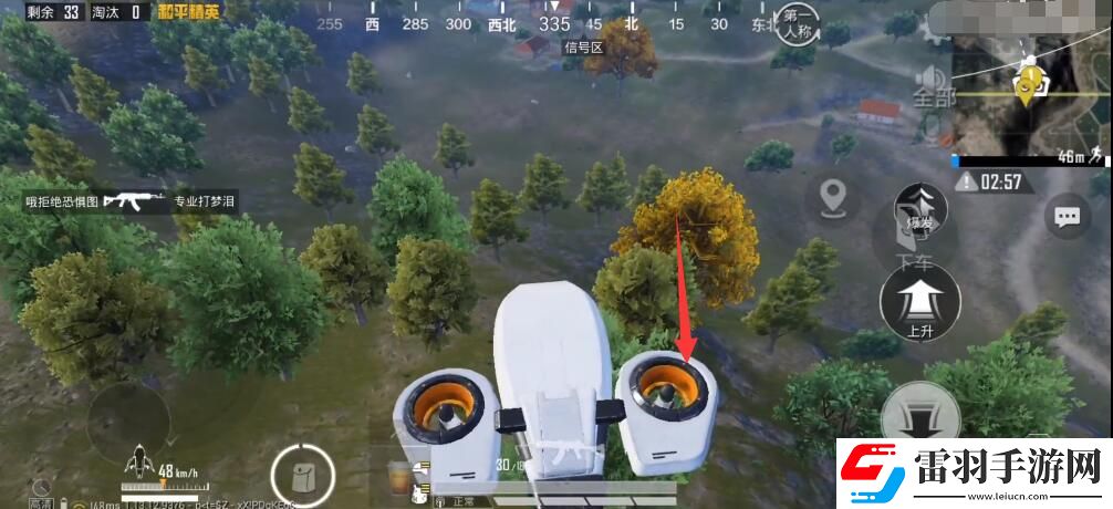 和平精英双生树打卡点位置