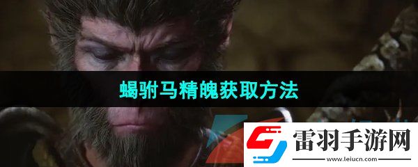 黑神话悟空蝎驸马精魄怎么获取
