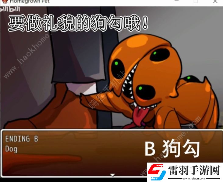 Homegrownpet怎么玩家养宠物玩法技巧