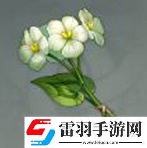 原神清心购买方法