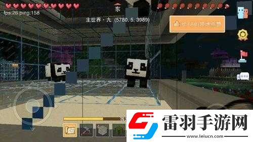 奶块熊猫的驯服攻略与喂养指南