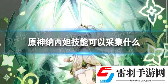 原神纳西妲技能可以采集什么原神纳西妲可采集材料一览