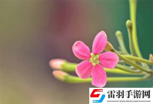 小扫货水能么多叫出来骨科