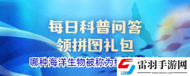 哪种海洋生物被称为维纳斯之梳