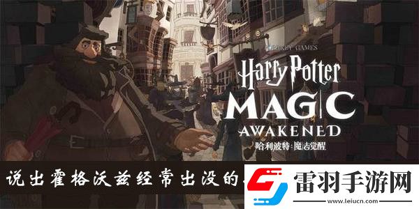 说出霍格沃兹经常出没的捣乱分子的名字