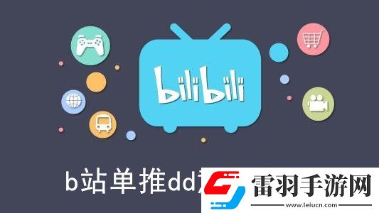 单推dd是什么意思