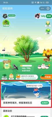 哪种海洋生物被称为“维纳斯之梳”