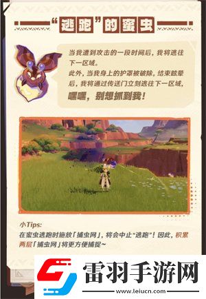 原神5.1寻溯蜜虫之宝活动介绍寻溯蜜虫之宝活动玩法详情