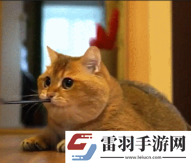炎炎夏日再穷不能没空调妹子惊叹你连风油精都不如