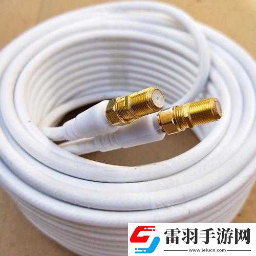 有线高清电视线SYWV75