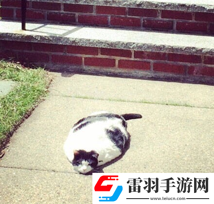 炎炎夏日再穷不能没空调妹子惊叹你连风油精都不如