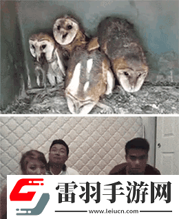炎炎夏日再穷不能没空调妹子惊叹你连风油精都不如