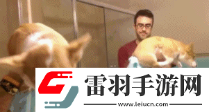 炎炎夏日再穷不能没空调妹子惊叹你连风油精都不如