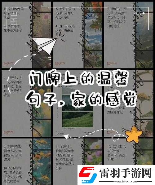 乔舒的日常