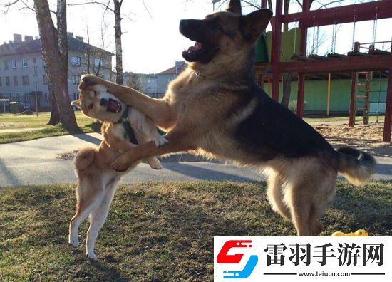 炎炎夏日再穷不能没空调妹子惊叹你连风油精都不如