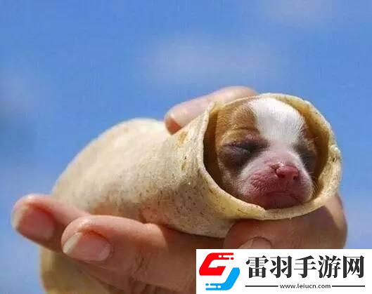 炎炎夏日再穷不能没空调妹子惊叹你连风油精都不如