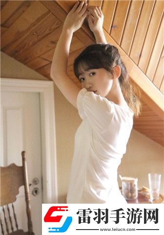 报告