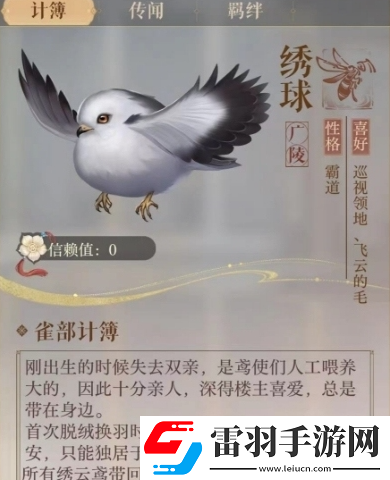 如鸢绣球命盘搭配建议