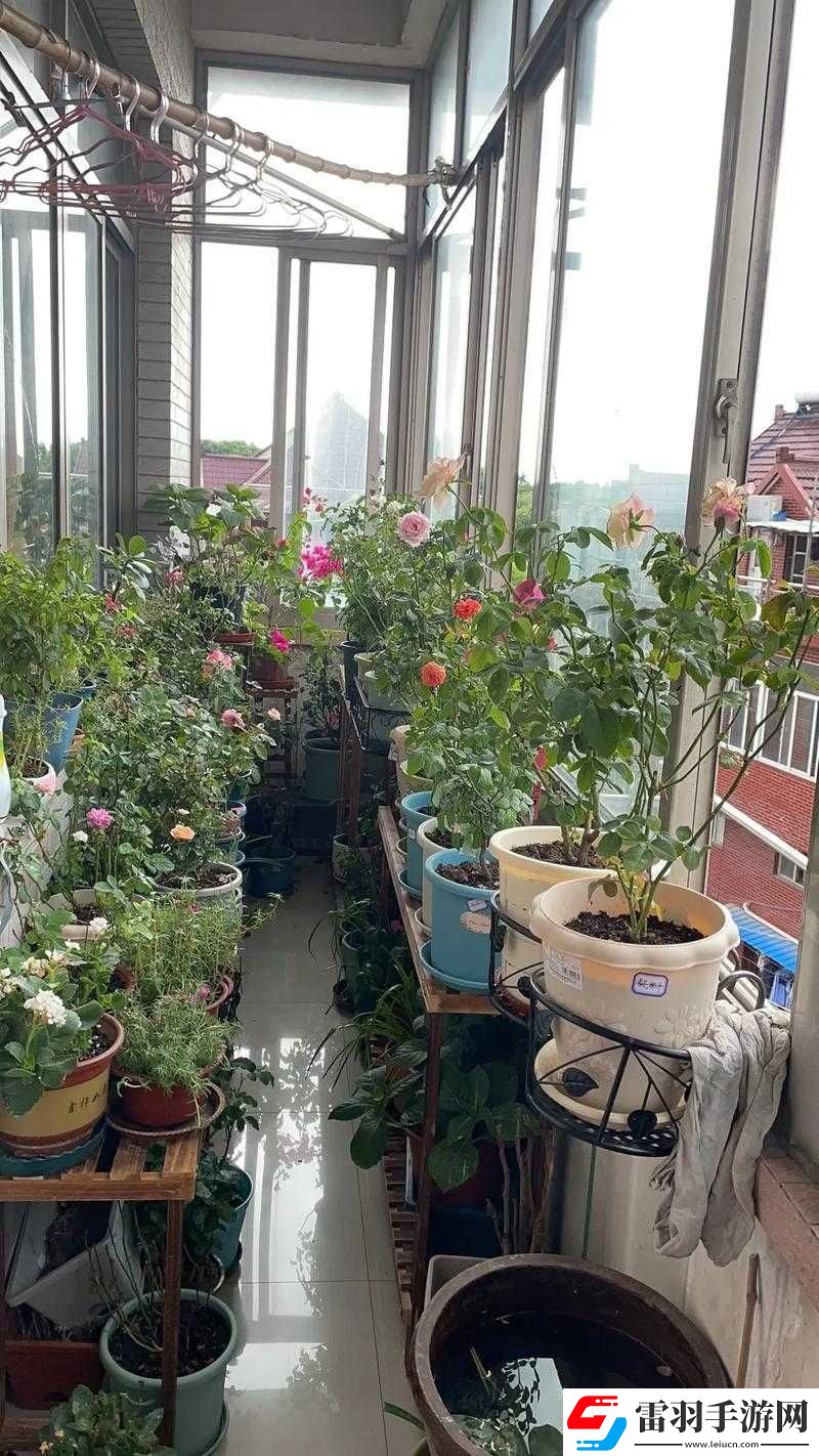 照顾小花园技巧