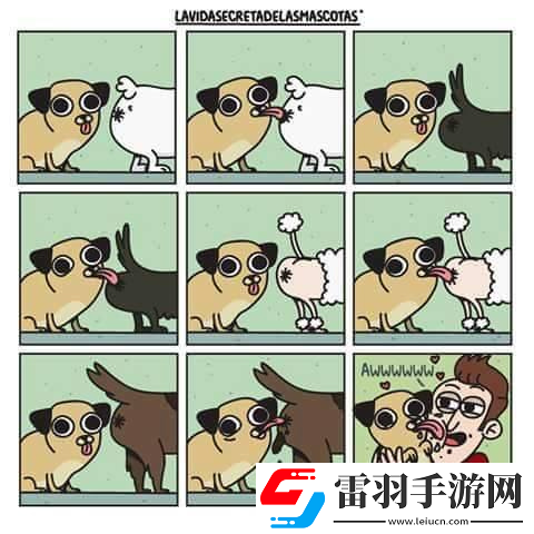 炎炎夏日再穷不能没空调妹子惊叹你连风油精都不如