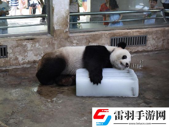 炎炎夏日再穷不能没空调妹子惊叹你连风油精都不如