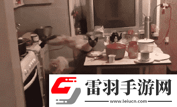 炎炎夏日再穷不能没空调妹子惊叹你连风油精都不如