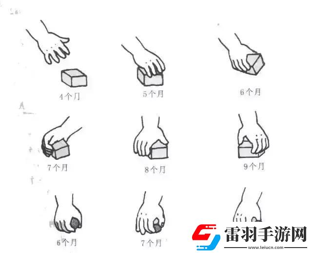 新手闯江湖