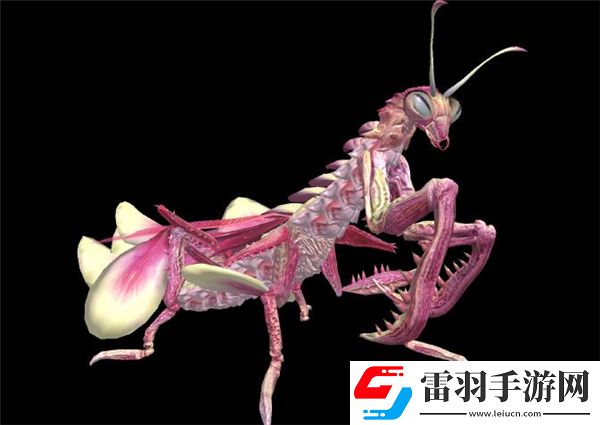 妄想山海千年刀螳位置一览