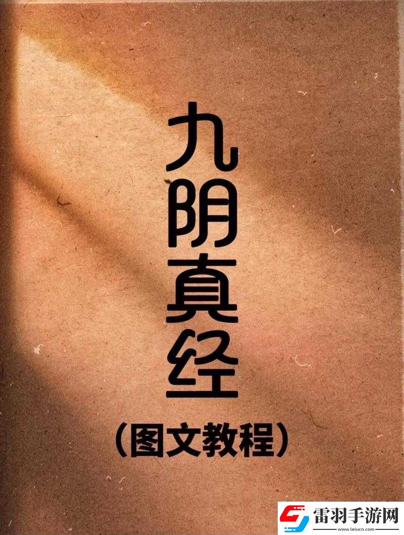 九阴真经十大平民武学
