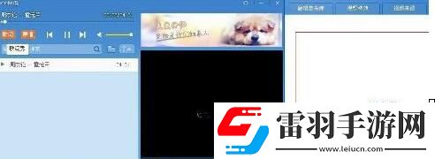 YY伴侣的详细使用过程讲解