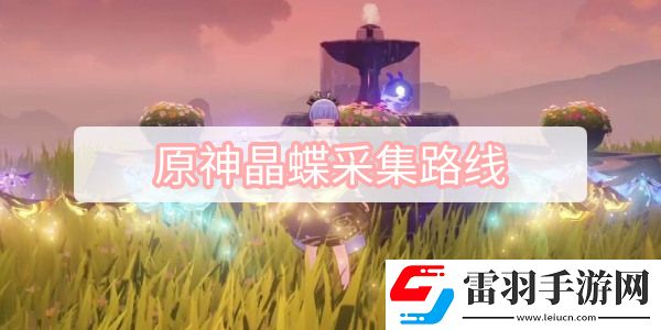 原神晶蝶采集路线