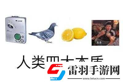 人类大本质是什么