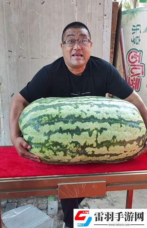 “大瓜免品日网民新宠儿