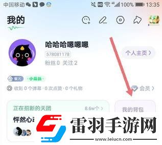 回森钻石怎么