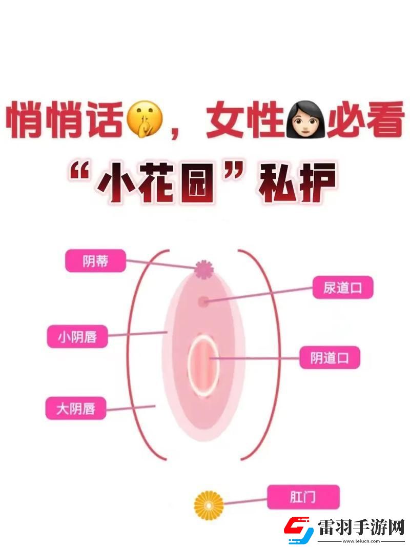 “小花园”里
