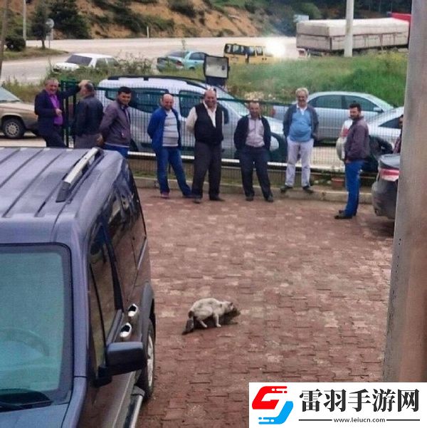 周二搞笑内涵图美女健身房碰到变态好尴尬