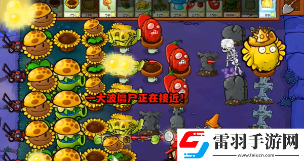 植物大战僵尸杂交版冒险58关怎么过