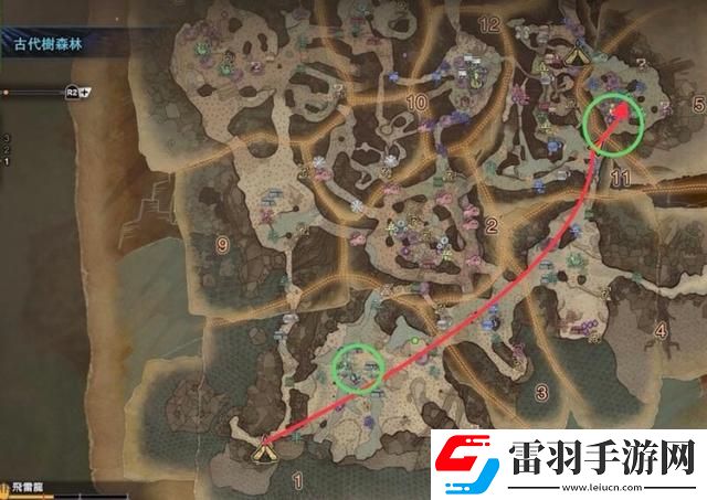 怪物猎人世界雌火龙在哪