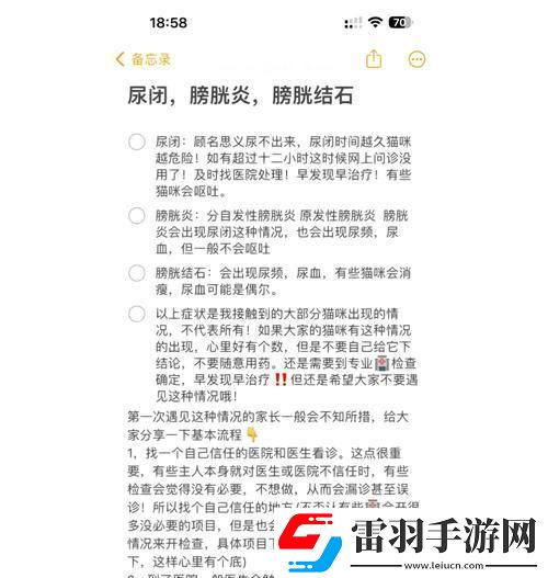 诡秘膀胱