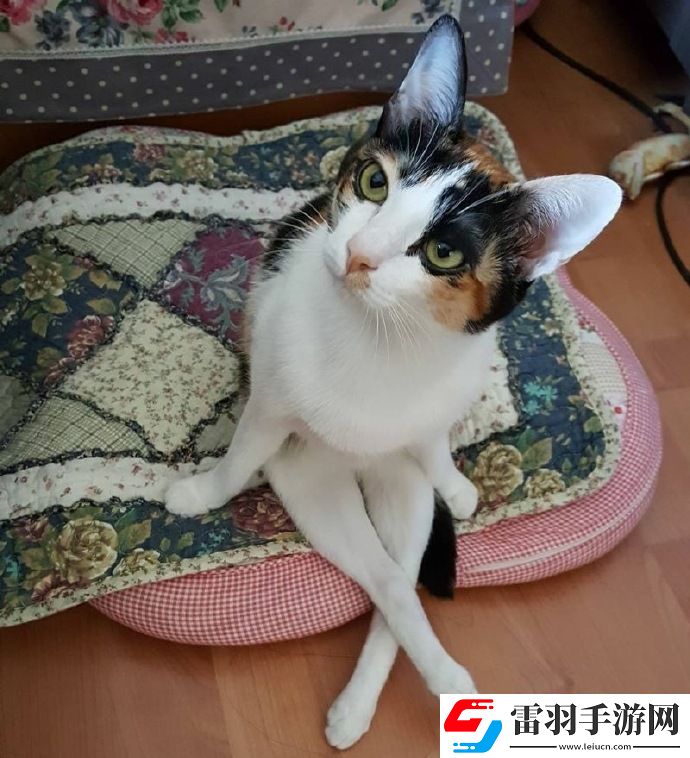 周二搞笑内涵图美女健身房碰到变态好尴尬