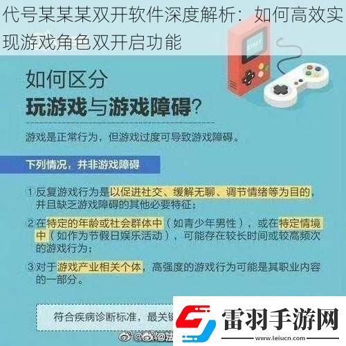 代号某某某双开软件深度解析