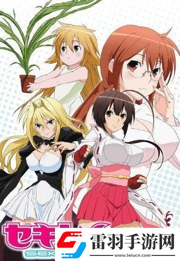 后营露宿2接档