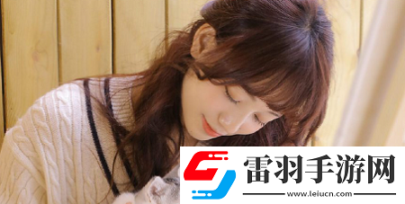 中国高清windows视频软件