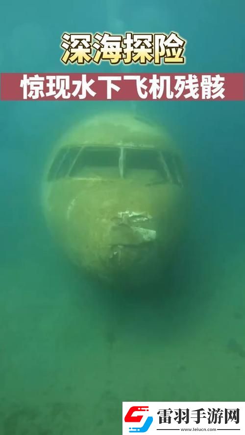 “深海飞机残骸之谜