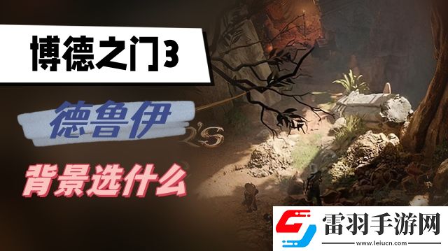 博德之门3德鲁伊背景选什么
