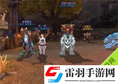 光明大陆弓箭手符文怎么搭配弓箭手属性选择解析