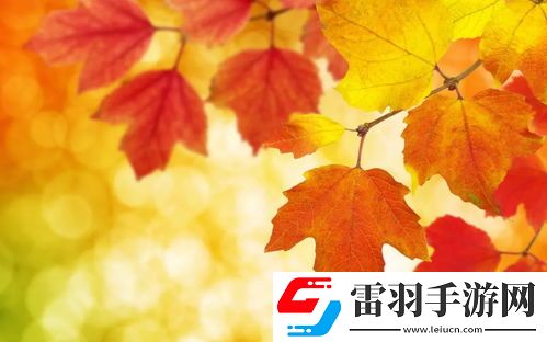 提升搜索可见度