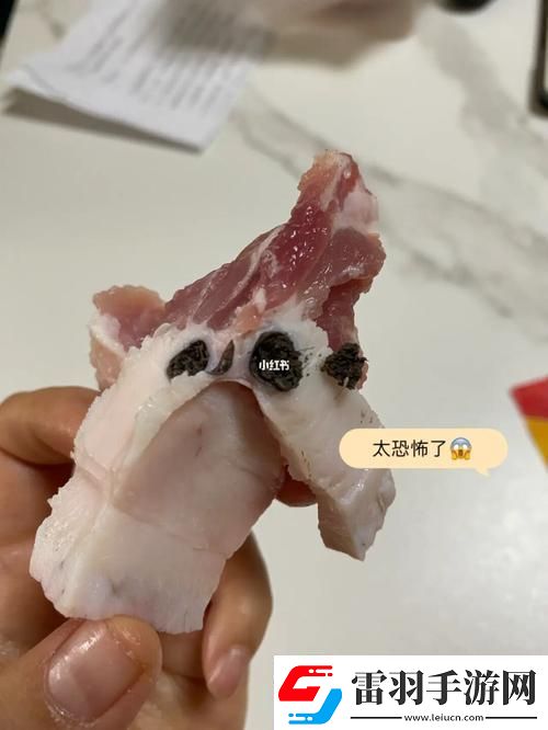 了解“肉质疑云