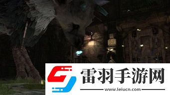 旺达与巨像、ICO及最后守护者