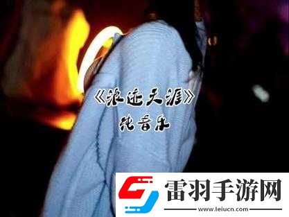 抖音上浪迹天涯的笑是哪首歌